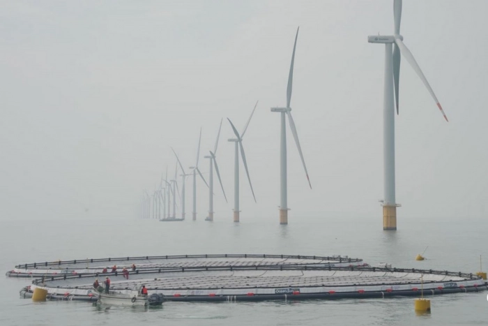 Новый гибридный ветро-солнечный генератор энергии открыт в Китае