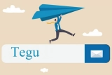 Миграция на Tegu: особенности переезда