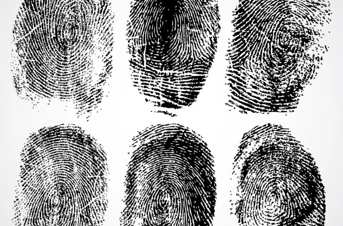 Еврокомиссия предлагает снабдить отпечатками пальцев все удостоверения личности