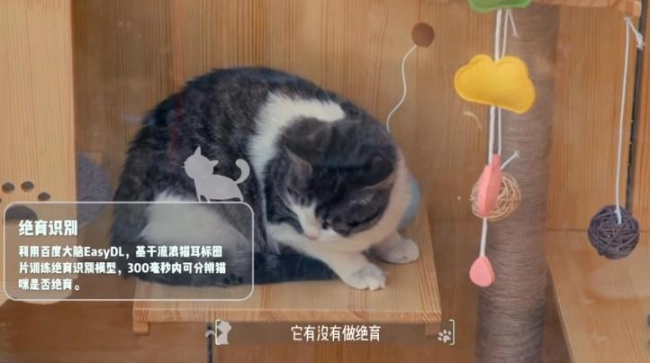В китайском зооприюте заработала нейросеть для распознавания кошачьих морд. Рис. 2