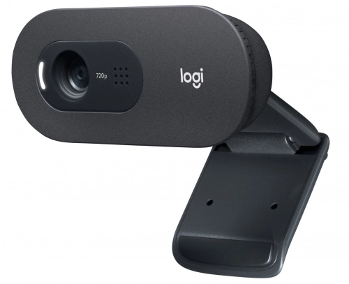 Logitech C505e HD WEBCAM: проводи видеозвонки комфортно. Рис. 2