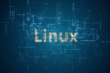 РАЭК надеется на господдержку ОС Linux