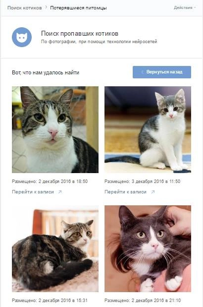 Приложение «Поиск пропавших котиков» найдет кота или собаку по фотографии