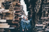 После модернизации ЛесЕГАИС у лесопромышленников возникли большие проблемы