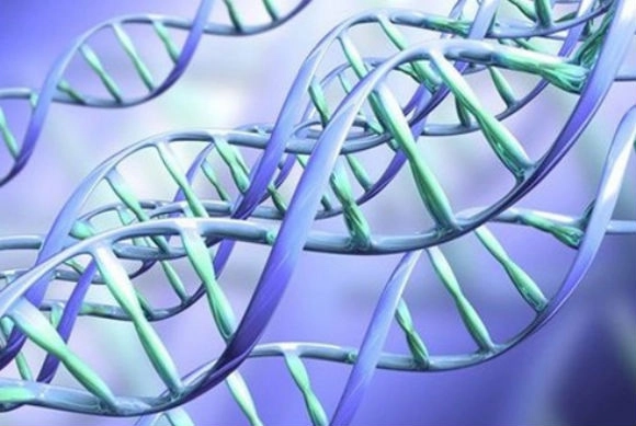 5 пунктов: ДНК проектной культуры 