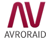 AvroRAID выпускает RAIDIX – решение для построения отказоустойчивых СХД
