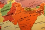 Священные обезьяны угрожают IT-развитию Индии