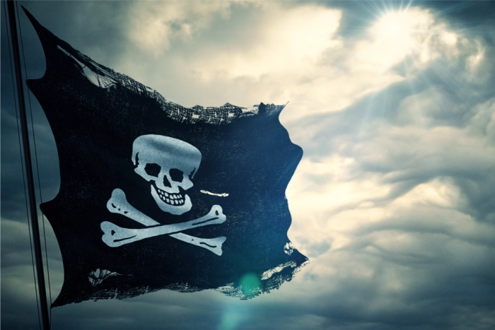Роскомнадзор внес в международную базу 1768 пиратских сайтов