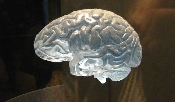 Превратить мозг в стекло и сохранять тысячелетиями для сканирования