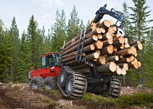 ГЛОНАСС оптимизирует расходы на лес