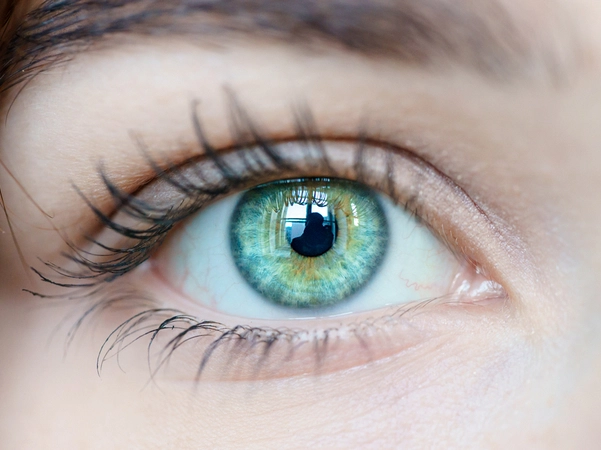 Ученые создали мигающую модель человеческого глаза