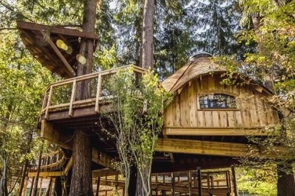 Microsoft построила своим сотрудникам дома на деревьях