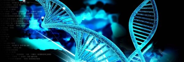 Пензенские ученые использовали ИТ для изучения ДНК