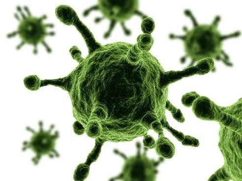 Моделирование показало, что новый вирус способен убить 900 млн человек