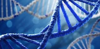 Новый этап развития генной инженерии – редактирование генов одобрено в США