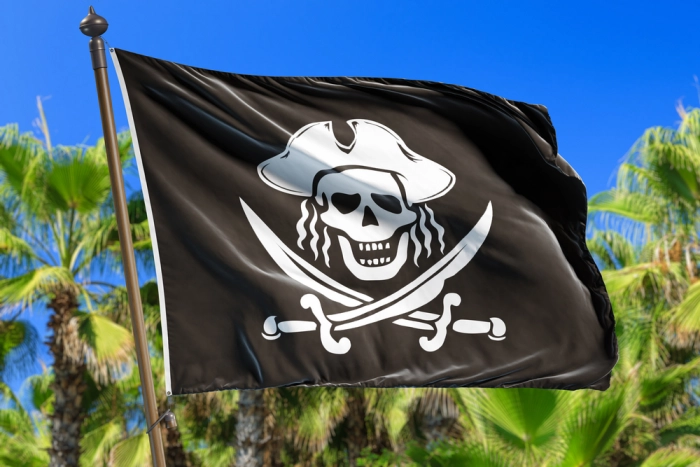 Пиратское ПО разрешат?