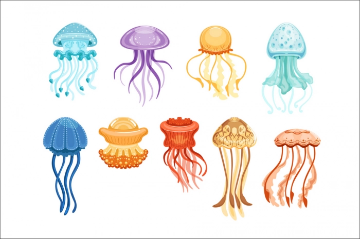 Роботы-медузы оказались быстрее живых прототипов