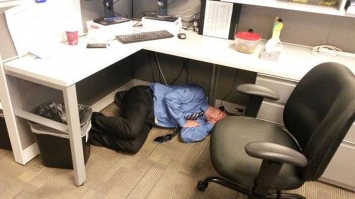 Трудоголик Илон Маск даже спит на работе