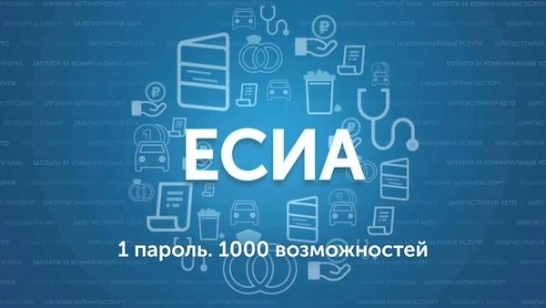 Количество пользователей ЕСИА в Петербурге превысило 2 млн. человек