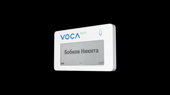 «Вымпелком» вложился в разработчика систем речевой аналитики Voca Tech
