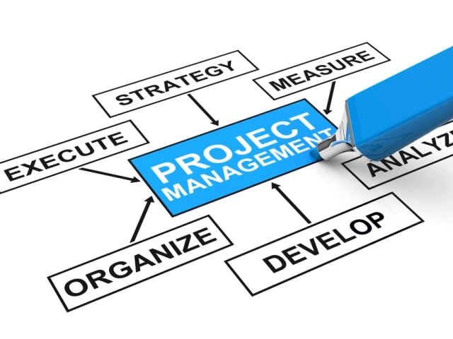 От проектного менеджмента к проектному лидерству