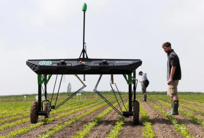 Роботы для прополки отнимут выручку у агрохимических гигантов