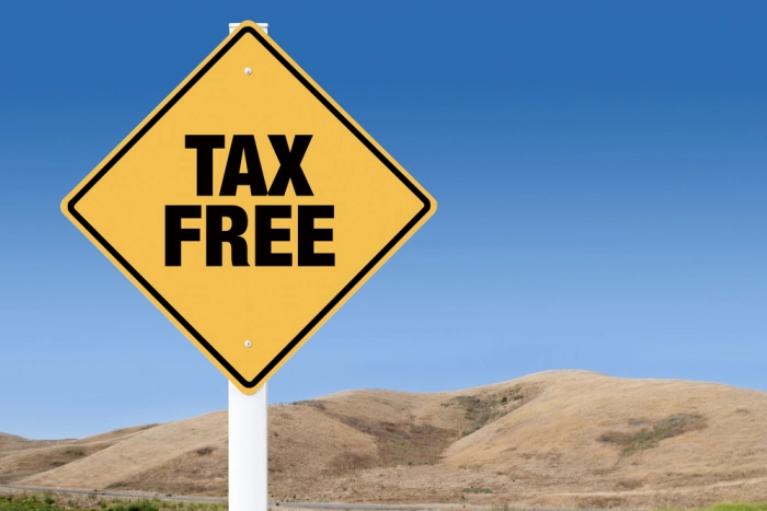 Техника за границу: первый год tax free