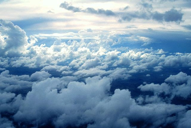 В 2011 году компания Softline планирует развернуть частные облака в ряде российских компаний