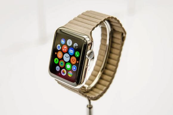 Часы Apple Watch и их рыночные перспективы. Рис. 1