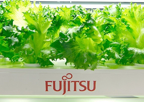 Фермерские успехи Fujitsu на базе облаков. Рис. 1