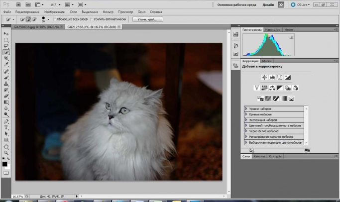 Adobe Photoshop CS5 . Рис. 1