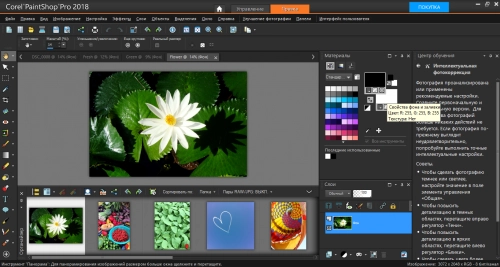 Corel PaintShop Pro 2018: альтернатива Photoshop. Рис. 2