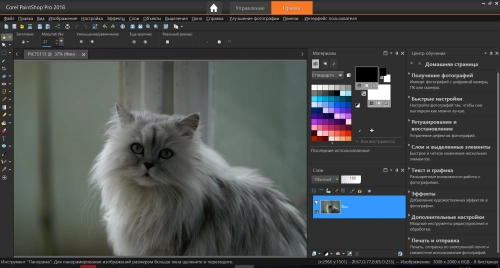 Corel PaintShop Pro 2018: альтернатива Photoshop. Рис. 3