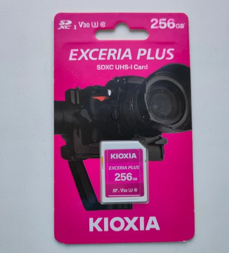 Kioxia Exceria Plus SDXC UHS-I 256 Гбайт: в помощь режиссеру, фотографу и кинооператору. Рис. 1